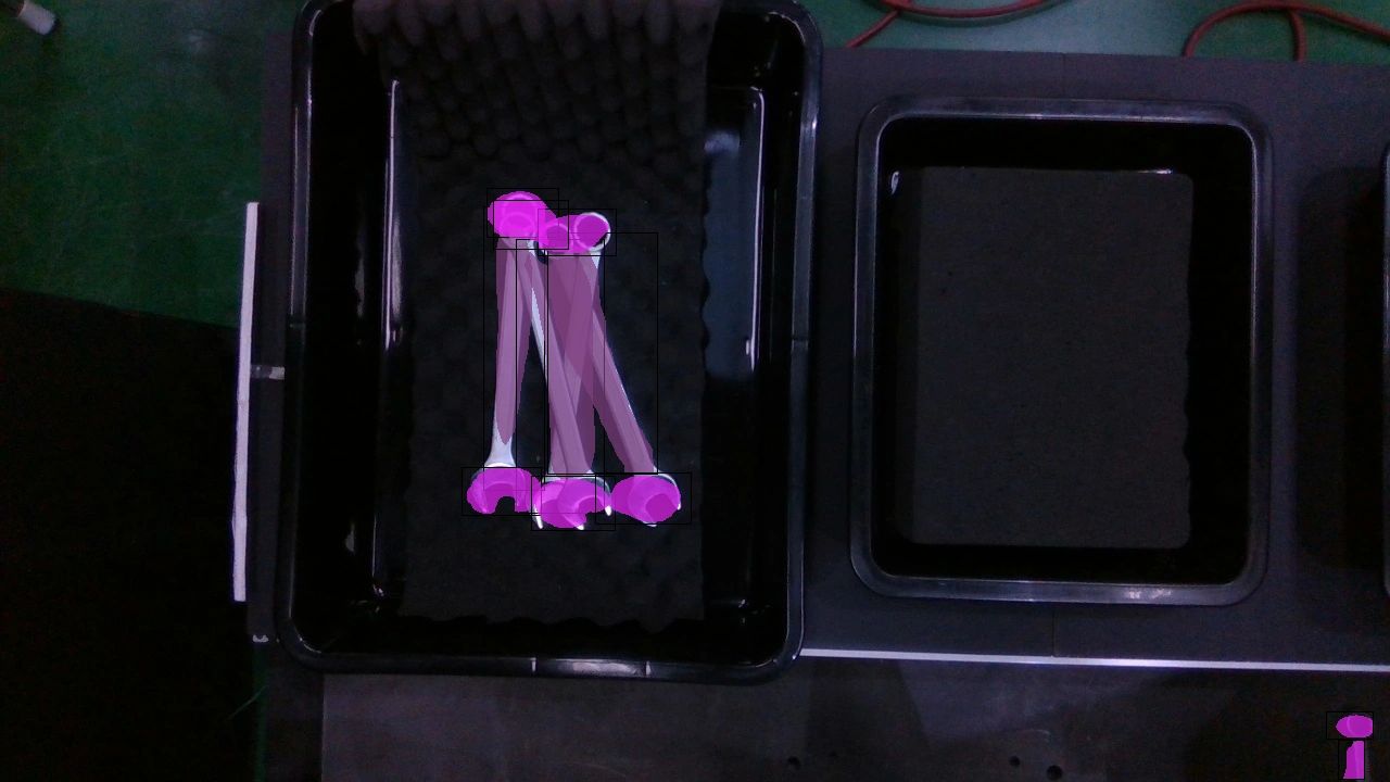 Custom AI model application demonstration